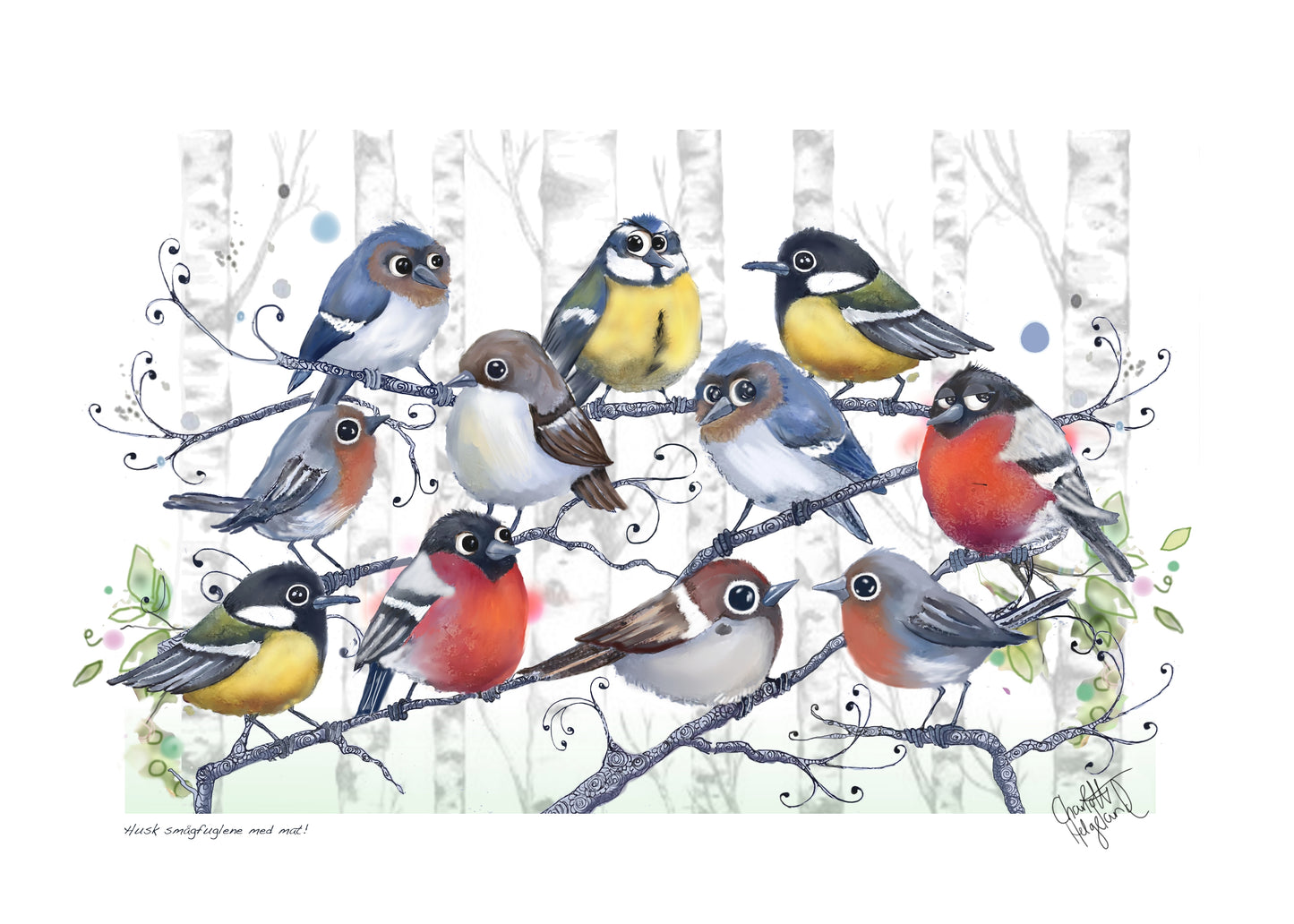 Husk småfuglene med mat!